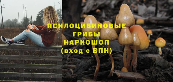 мдпв Медногорск