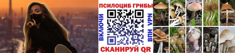 Псилоцибиновые грибы мухоморы  Новое Девяткино 